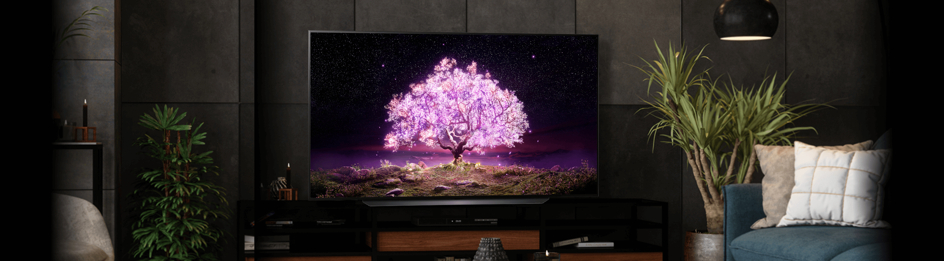 Телевизор Lg Oled55c1rla Купить