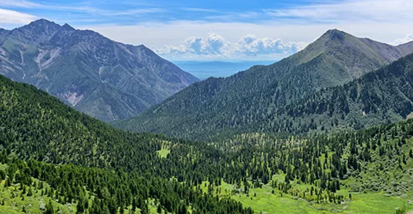 ПРОГРАММА «КРАСИВЫЙ МИР»