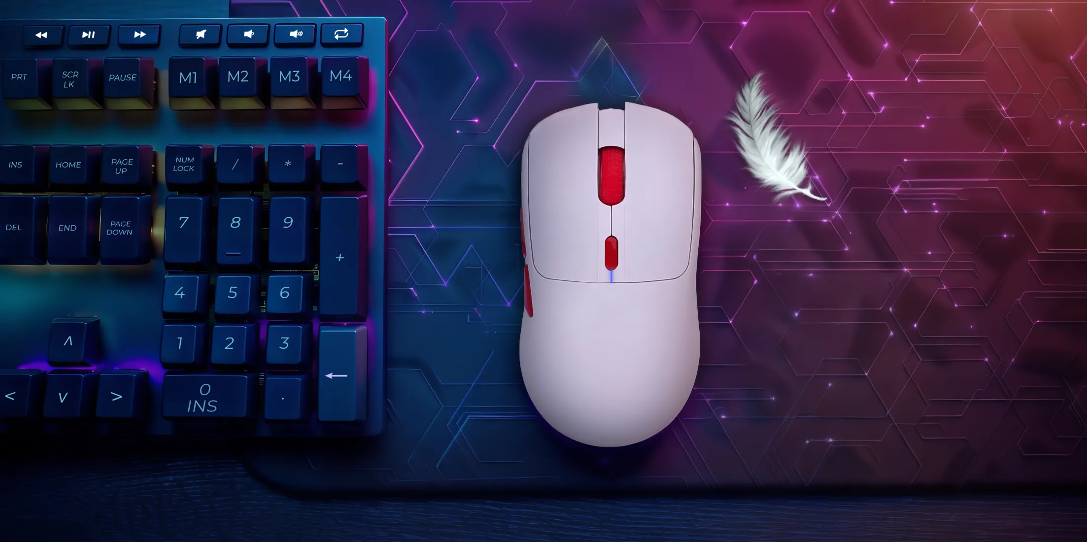 Carrera Nyx White №205